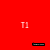 T1
